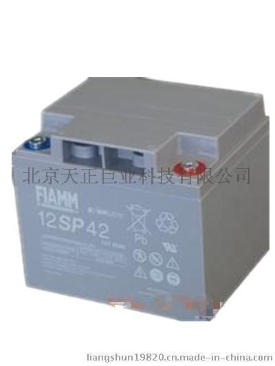 非凡閥控式密閉免維護蓄電池12SP42/12V42AH 20HR